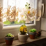 Nyaraló Planinska Kuca S&i *
