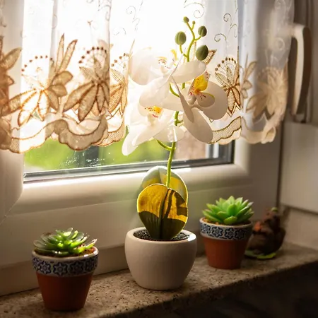 Holiday home Planinska Kuca S&i *