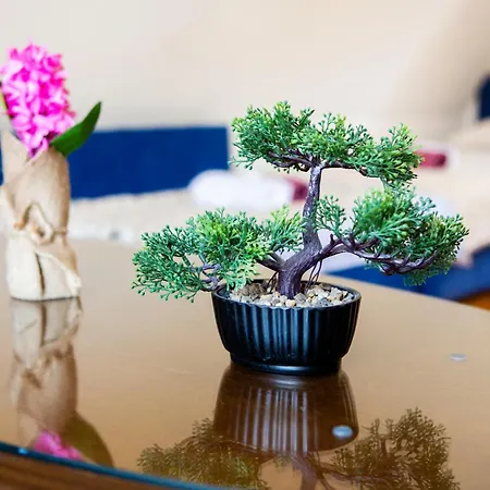 Planinska Kuca S&i Bjelasnica